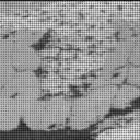Sol 3906: Mast Camera (Mastcam)