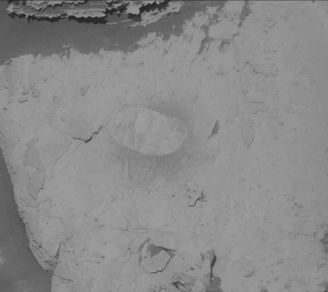 Sol 3906: Mast Camera (Mastcam)