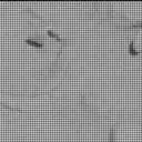 Sol 3906: Mast Camera (Mastcam)