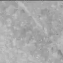 Sol 3910: Mast Camera (Mastcam)