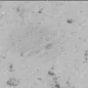 Sol 3917: Mast Camera (Mastcam)
