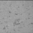 Sol 3917: Mast Camera (Mastcam)