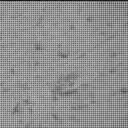 Sol 3917: Mast Camera (Mastcam)