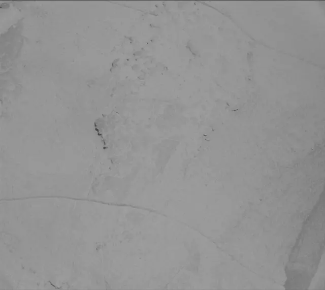 Sol 3934: Mast Camera (Mastcam)