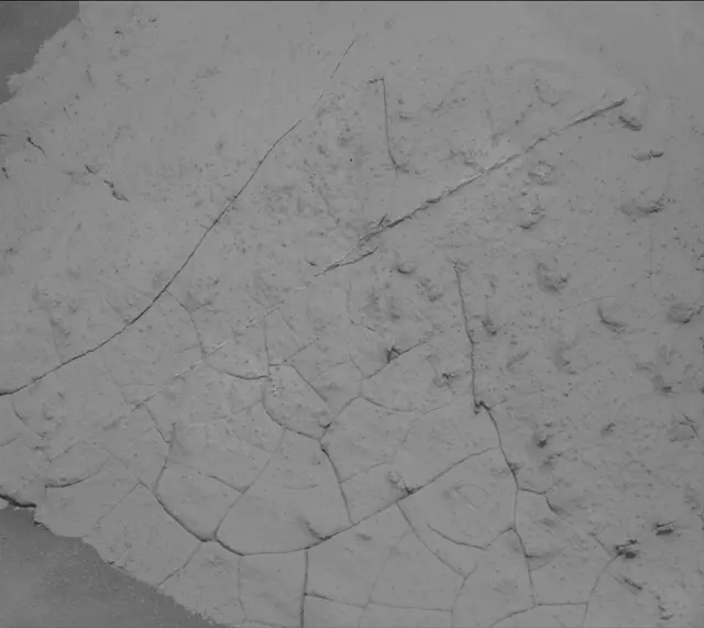 Sol 3938: Mast Camera (Mastcam)