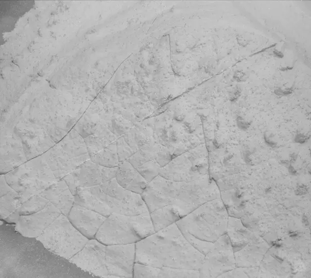 Sol 3938: Mast Camera (Mastcam)