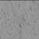 Sol 3938: Mast Camera (Mastcam)