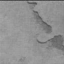 Sol 3960: Mast Camera (Mastcam)