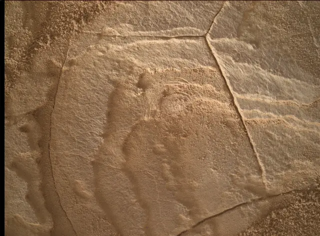 Sol 4093: Mars Hand Lens Imager (MAHLI)