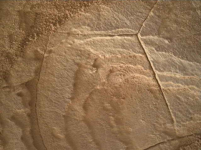Sol 4093: Mars Hand Lens Imager (MAHLI)