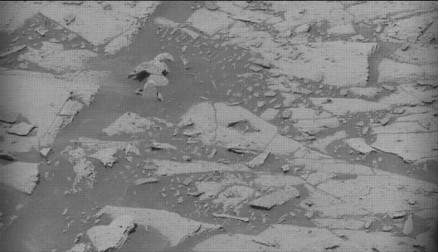 Sol 4101: Mast Camera (Mastcam)