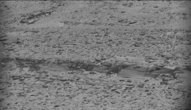 Sol 4124: Mast Camera (Mastcam)