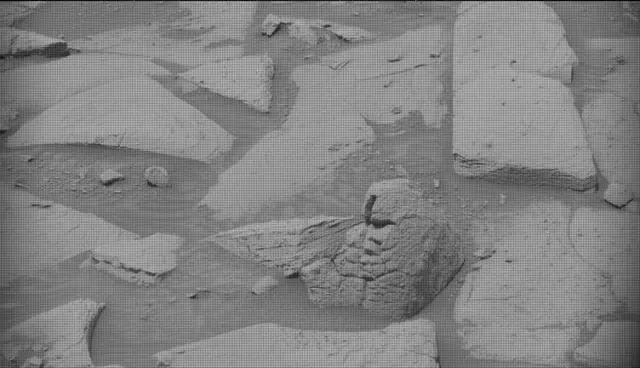 Sol 4132: Mast Camera (Mastcam)