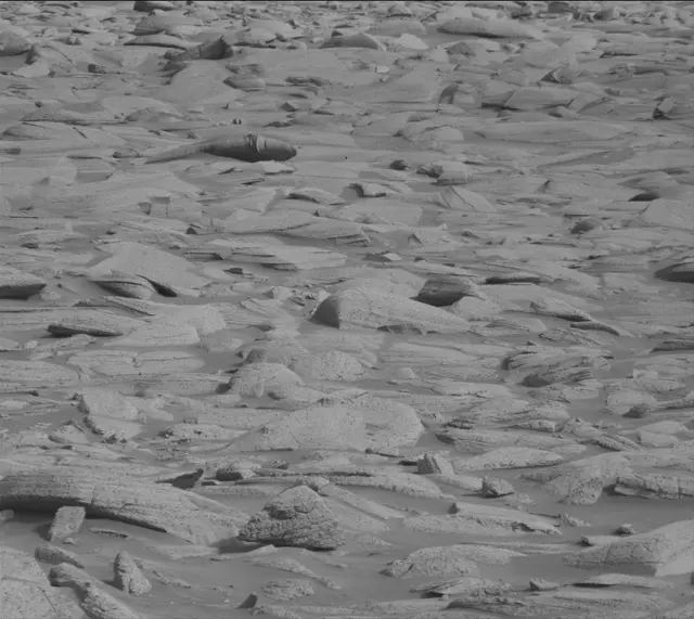 Sol 4132: Mast Camera (Mastcam)