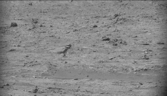 Sol 4135: Mast Camera (Mastcam)