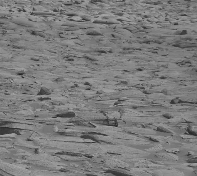 Sol 4135: Mast Camera (Mastcam)