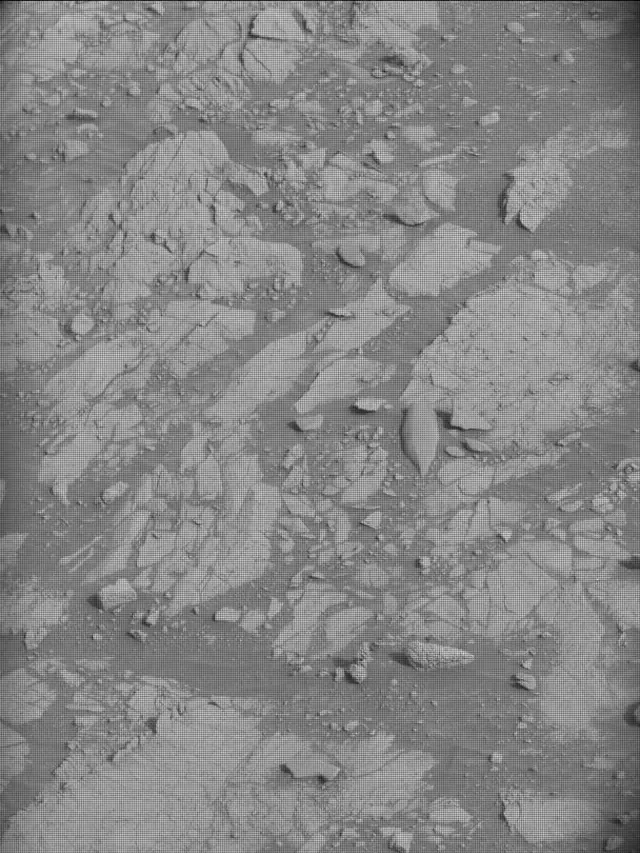 Sol 4142: Mast Camera (Mastcam)