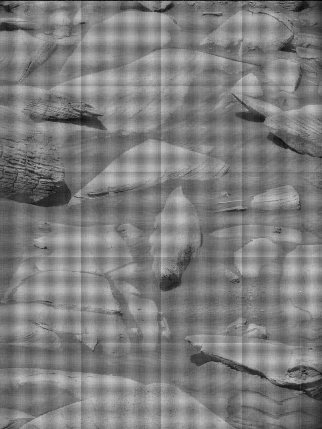 Sol 4148: Mast Camera (Mastcam)