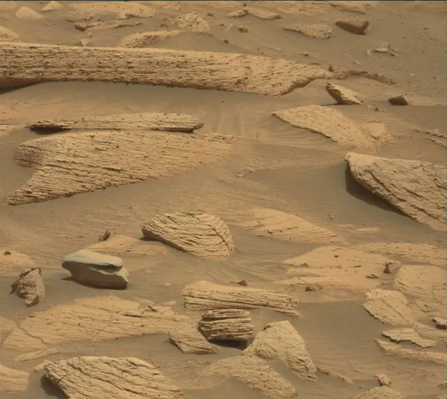 Sol 4151: Mast Camera (Mastcam)