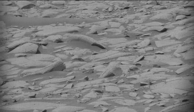 Sol 4154: Mast Camera (Mastcam)