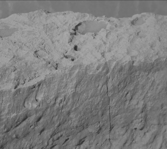 Sol 4173: Mast Camera (Mastcam)