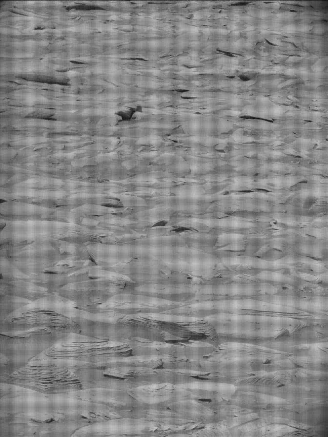 Sol 4175: Mast Camera (Mastcam)