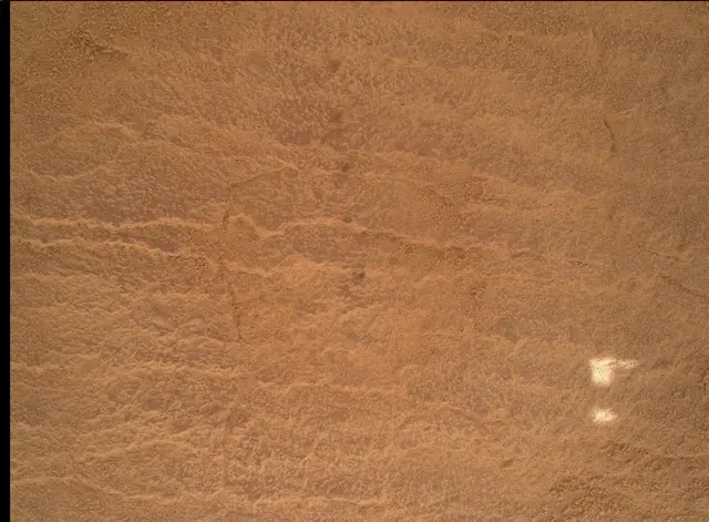 Sol 4191: Mars Hand Lens Imager (MAHLI)