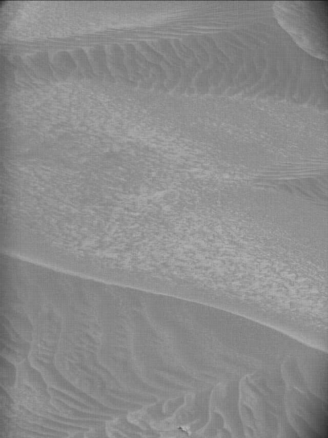 Sol 4202: Mast Camera (Mastcam)