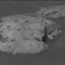 Sol 4215: Mast Camera (Mastcam)