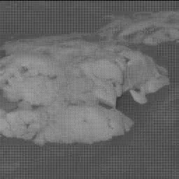 Sol 4217: Mast Camera (Mastcam)