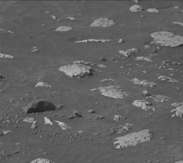 Sol 4227: Mast Camera (Mastcam)