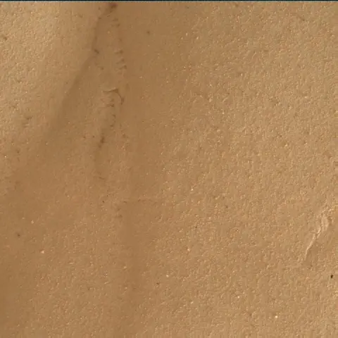 Sol 4239: Mars Hand Lens Imager (MAHLI)