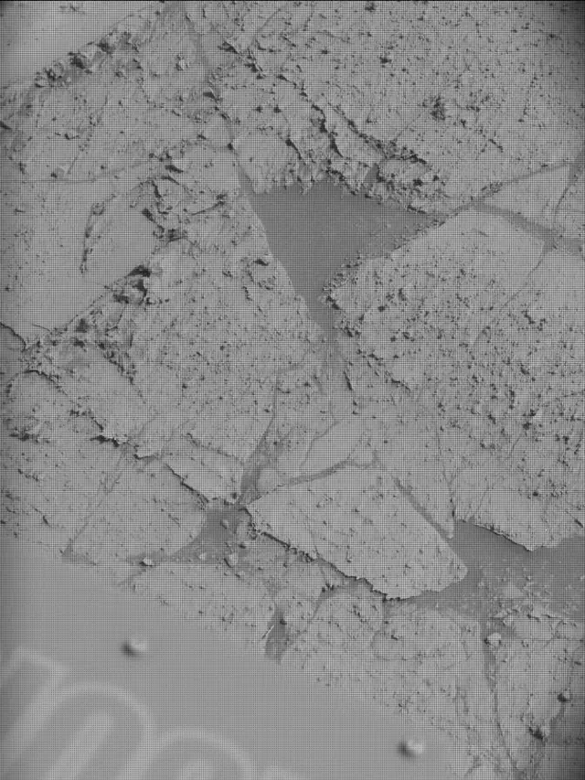 Sol 4253: Mast Camera (Mastcam)