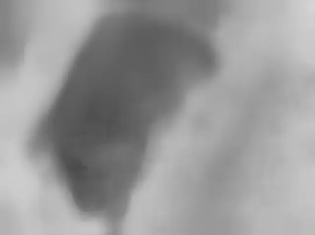 Sol 4253: Mars Hand Lens Imager (MAHLI)