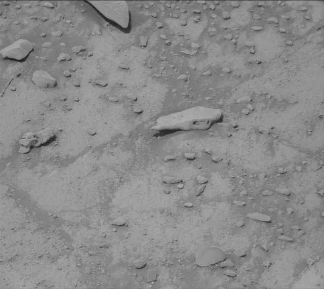 Sol 4259: Mast Camera (Mastcam)