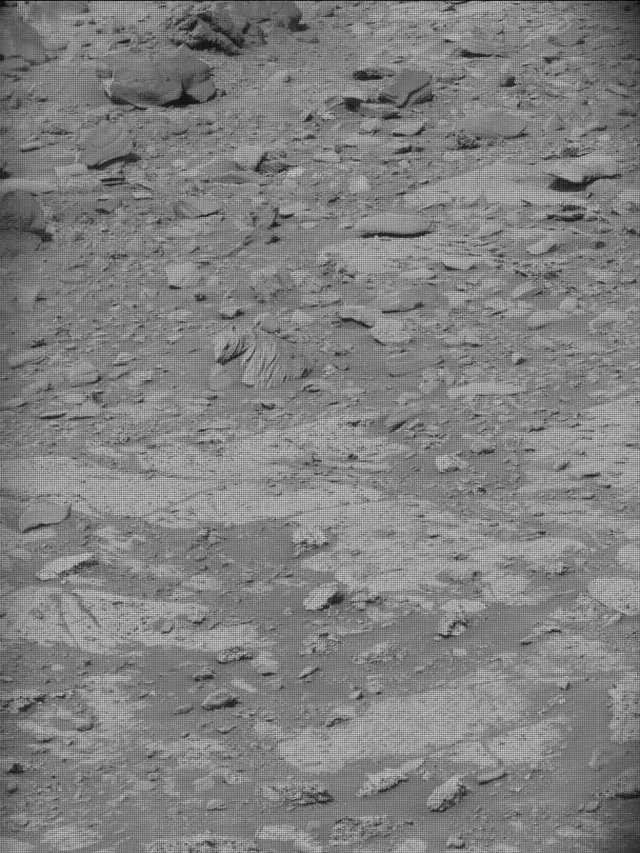 Sol 4264: Mast Camera (Mastcam)