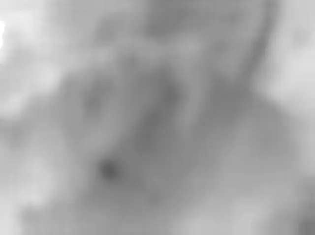 Sol 4294: Mars Hand Lens Imager (MAHLI)