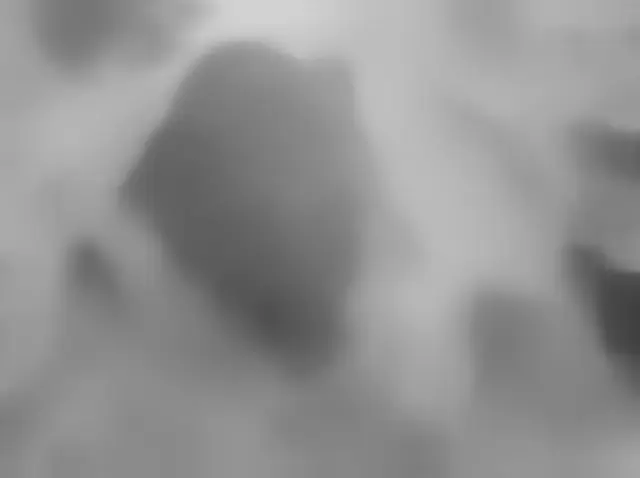 Sol 4295: Mars Hand Lens Imager (MAHLI)