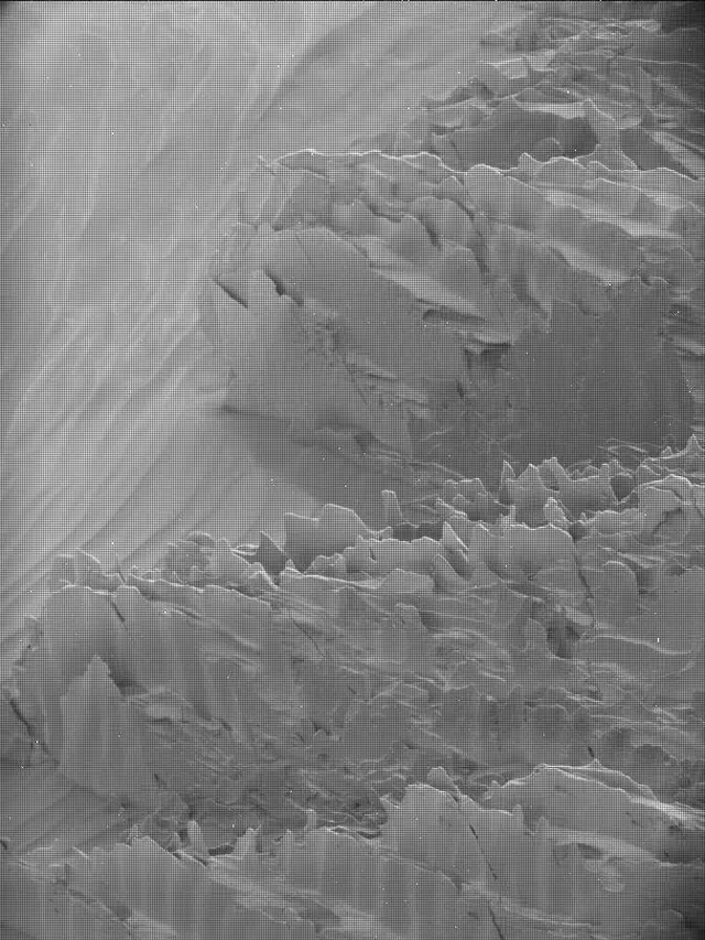 Sol 4298: Mast Camera (Mastcam)