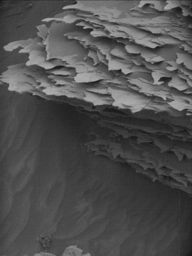 Sol 4298: Mast Camera (Mastcam)