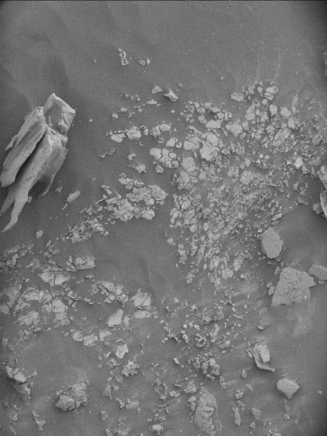 Sol 4298: Mast Camera (Mastcam)