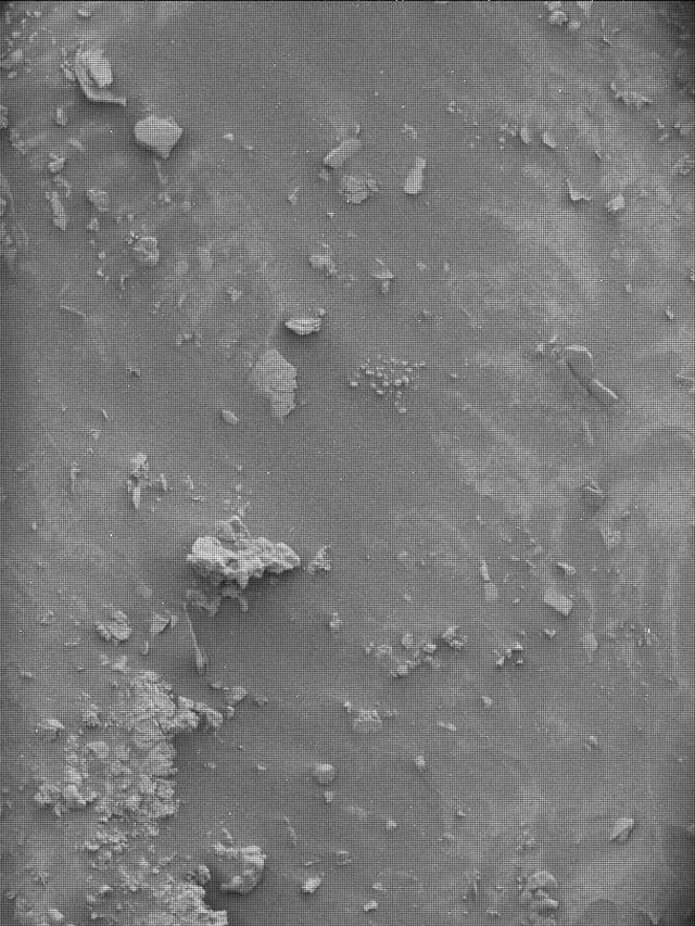 Sol 4298: Mast Camera (Mastcam)