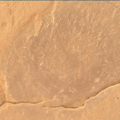 Sol 4300: Mars Hand Lens Imager (MAHLI)