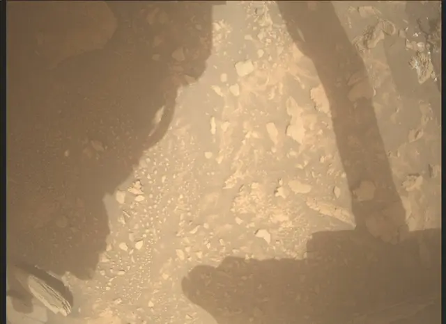 Sol 4301: Mars Descent Imager (MARDI)