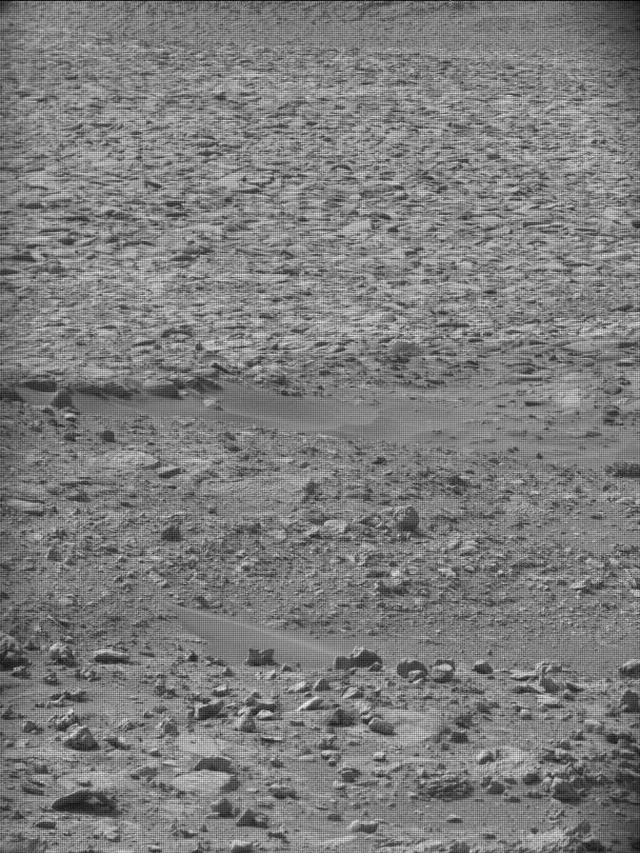 Sol 4302: Mast Camera (Mastcam)
