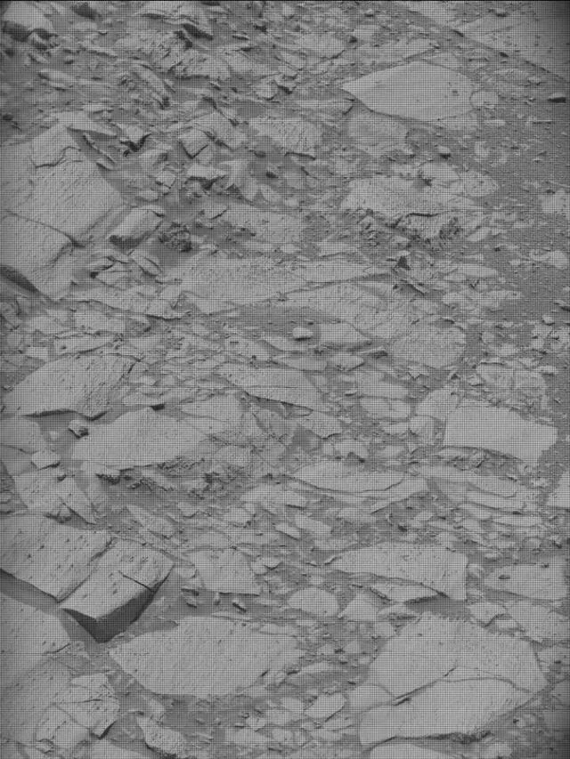 Sol 4306: Mast Camera (Mastcam)
