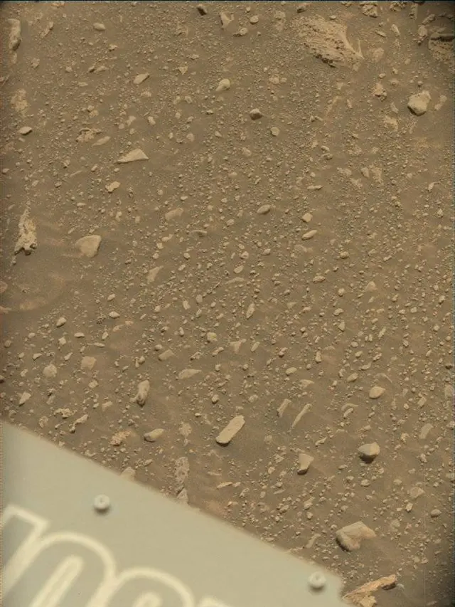 Sol 4306: Mast Camera (Mastcam)