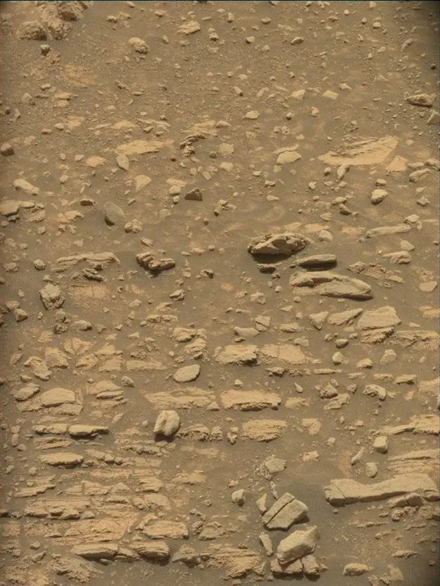 Sol 4306: Mast Camera (Mastcam)