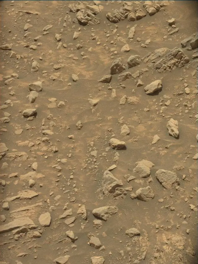 Sol 4306: Mast Camera (Mastcam)