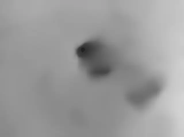 Sol 4307: Mars Hand Lens Imager (MAHLI)